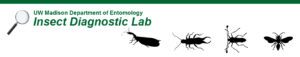 Insect_Diagnostic_Lab_Header_for_2014_04_28_2014