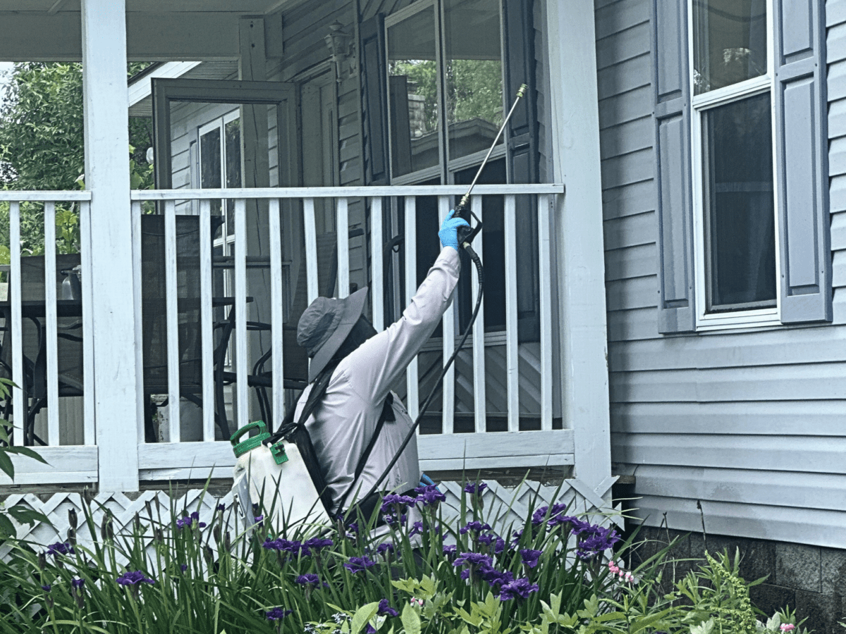 Residential Services – Madsen Pest Management